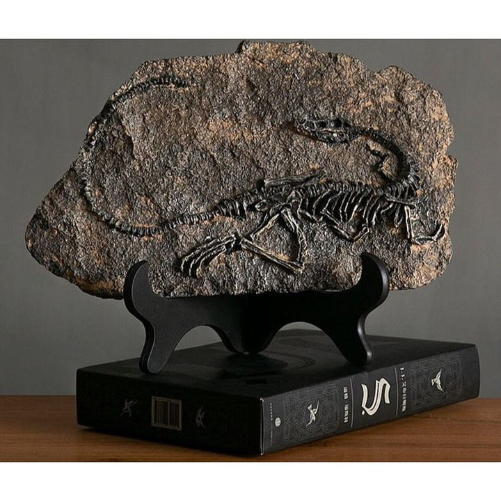 Statuette Fossile Dinosaure Résine | Ibis - Designix Statuette Dinosaure 3