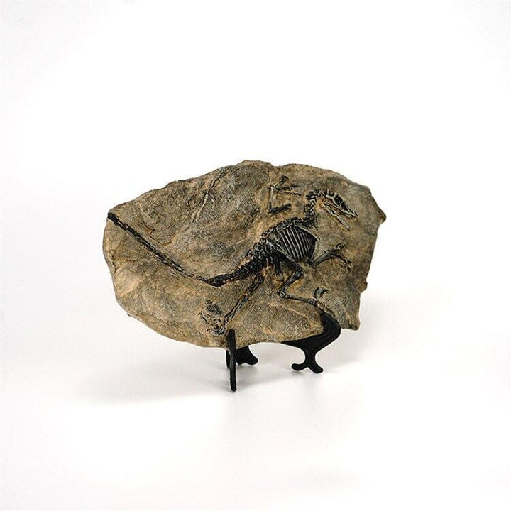 Statuette Fossile Dinosaure Résine | Ibis - Designix Statuette Dinosaure 3