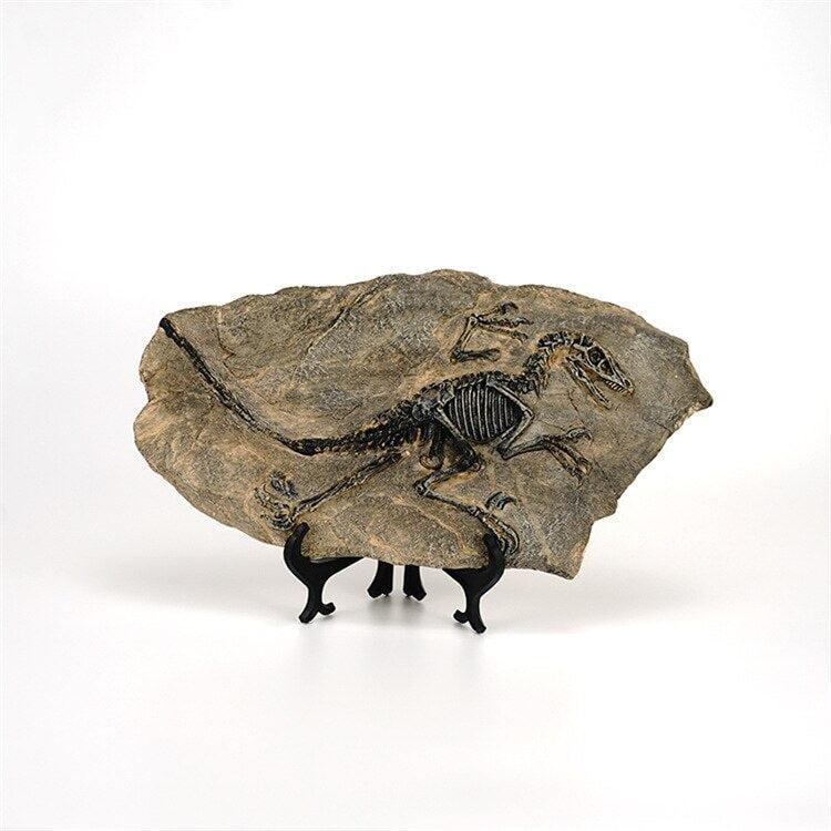 Statuette Fossile Dinosaure Résine | Ibis - Designix Statuette Dinosaure 3