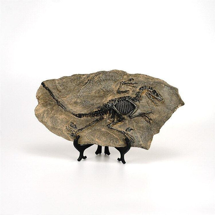 Statuette Fossile Dinosaure Résine | Ibis - Designix Statuette Dinosaure 3
