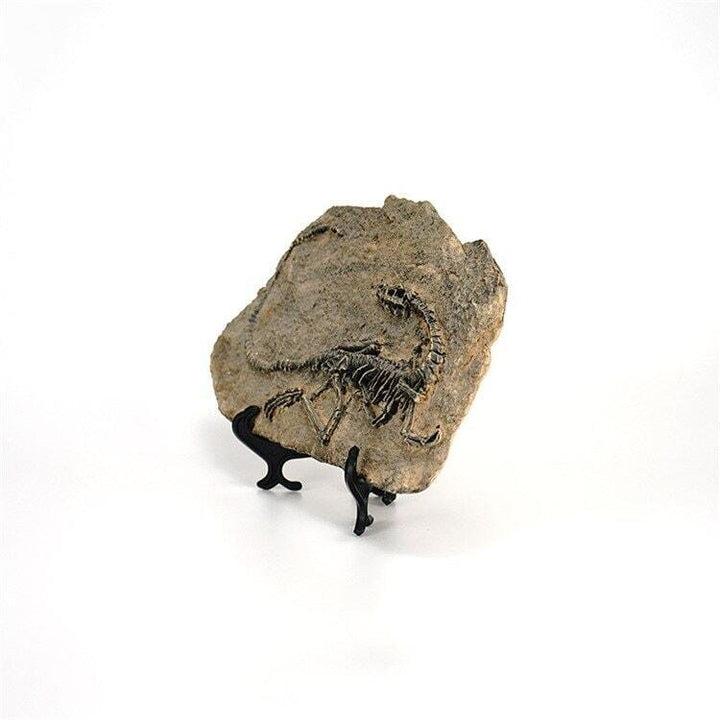Statuette Fossile Dinosaure Résine | Ibis - Designix Statuette Dinosaure 3
