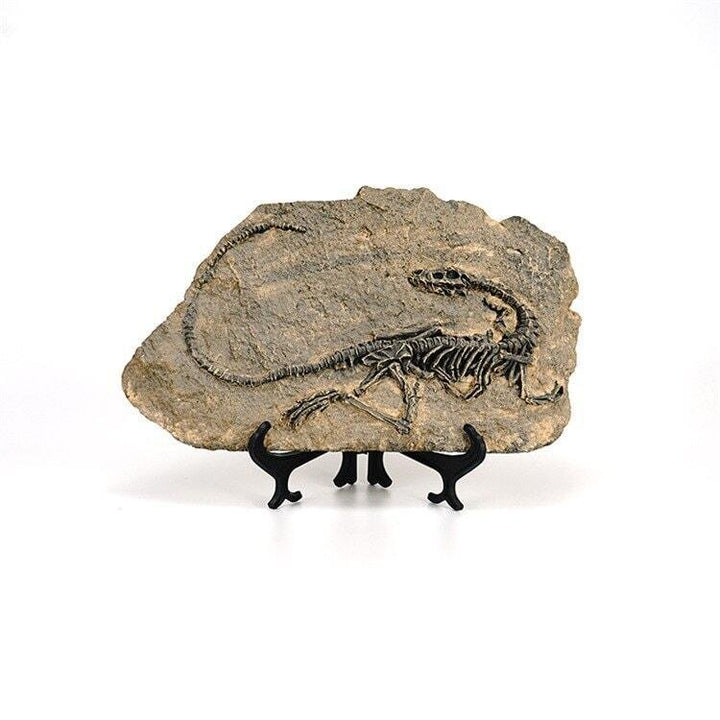 Statuette Fossile Dinosaure Résine | Ibis - Designix Statuette Dinosaure 3