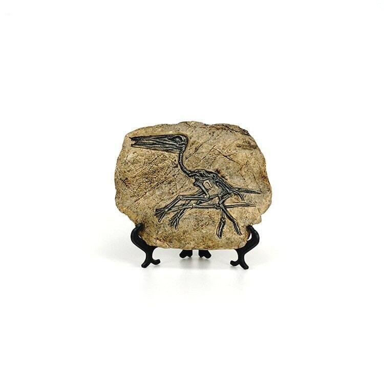 Statuette Fossile Dinosaure Résine | Ibis - Designix Statuette Dinosaure 3
