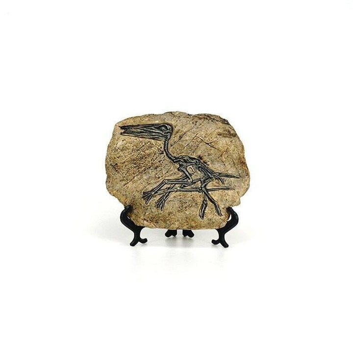 Statuette Fossile Dinosaure Résine | Ibis - Designix Statuette Dinosaure 3