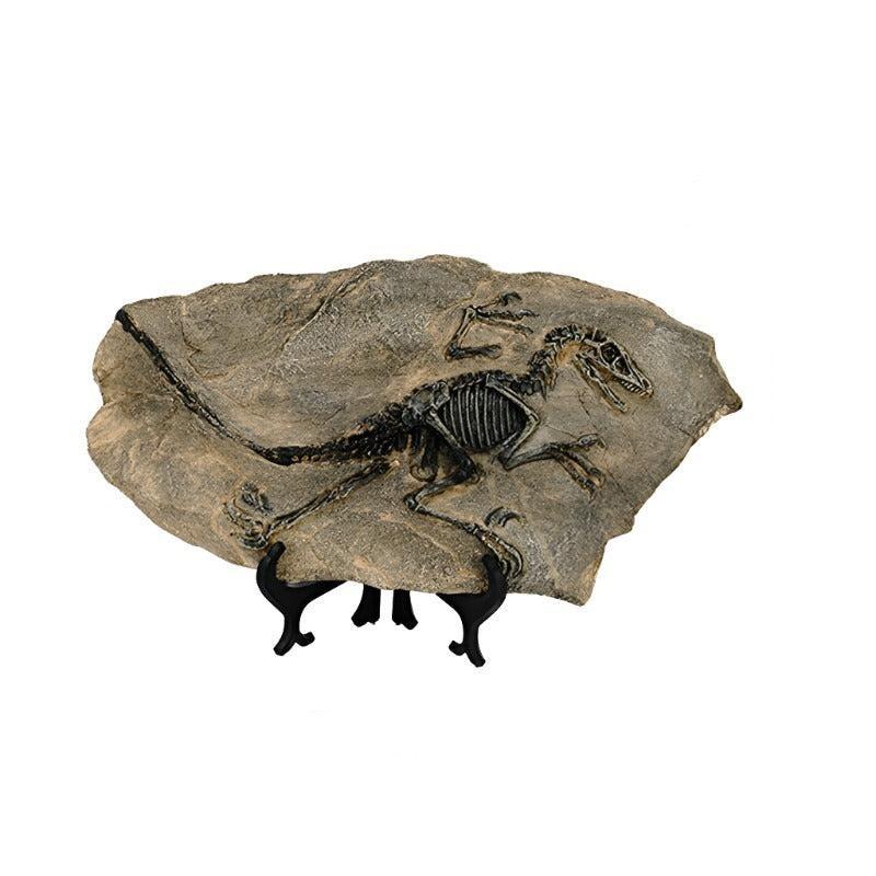 "Statuette Fossile Dinosaure Résine" | Designix - 2222 Dinosaure 1 - https://designix.fr/